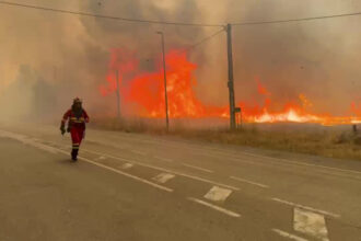 canicula record in sudul europei un cocktail molotov climatic alimenteaza incendii uriase in zona mediteraneana 6899ff412f79c