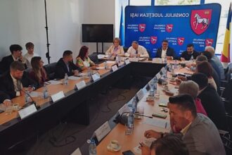 ce mai finanteaza consiliul judetean iasi piete terenuri de sport si parcuri de joaca aprobari prin vot ieri in sedinta de plen 68ae534668398