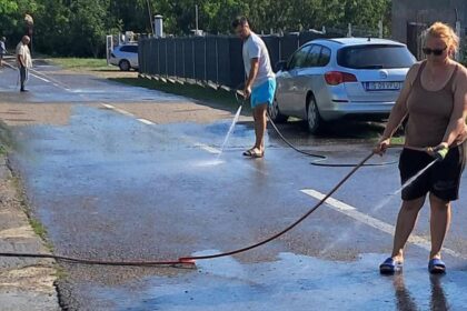 ce se intampla la marginea iasului intrece orice imaginatie localnicii sunt terorizati zilnic au ajuns pana in statia de autobuz iar noi am spalat dupa ele 689a77686d09a