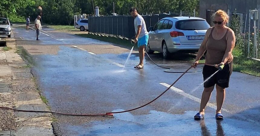 ce se intampla la marginea iasului intrece orice imaginatie localnicii sunt terorizati zilnic au ajuns pana in statia de autobuz iar noi am spalat dupa ele 689a77686d09a