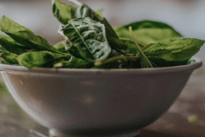 ce trebuie sa faci cu spanacul pentru a si pastra culoarea si dupa ce il prepari 68affb5a19bfe