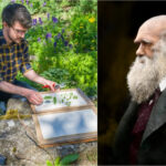 cel mai bun job din lumea naturala un colectionar de seminte va pleca intr o aventura in jurul lumii pe urmele lui charles darwin 688ee915e944a