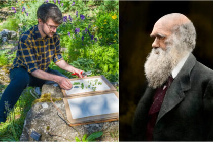 cel mai bun job din lumea naturala un colectionar de seminte va pleca intr o aventura in jurul lumii pe urmele lui charles darwin 688ee915e944a