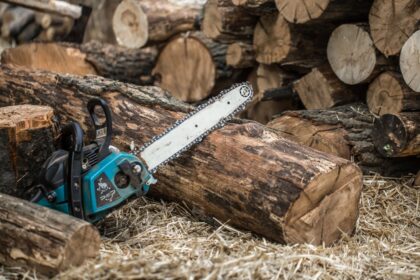 cel mai ghinionist hot din judet el va sta din nou in spatele din cauza unor gainarii 68969a1b904af