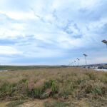 cel mai mare parc industrial al judetului napadit de balarii unde s a blocat investitia cj de la letcani sapte voturi impotriva au oprit totul in loc 68901531e7349