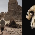 cercetatorii au descoperit o noua specie de hominizi care ar putea schimba povestea evolutiei omului 68a2b3236ae56