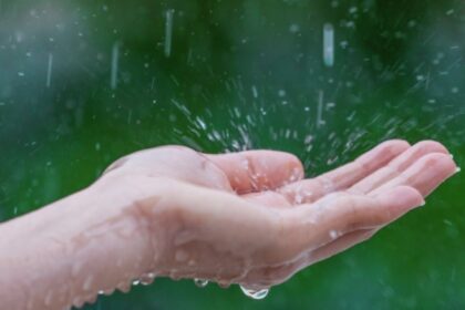 cum a ajuns sa fie taxata si apa de ploaie autoritatea in domeniu vine cu explicatii 68a6e6bbe70a9