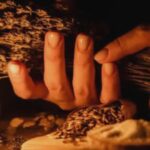 cum iti dai seama ca ai fost deocheat semnele clare care iti indica ca ti s au facut astfel de farmece 68a617e3650d4