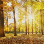 cum va fi vremea in septembrie meteorologii anunta temperaturi peste cele obisnuite in prima parte a lunii 68b14a3468891