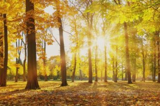 cum va fi vremea in septembrie meteorologii anunta temperaturi peste cele obisnuite in prima parte a lunii 68b14a3468891
