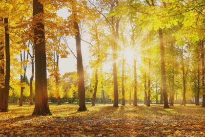 cum va fi vremea in septembrie meteorologii anunta temperaturi peste cele obisnuite in prima parte a lunii 68b14a3468891