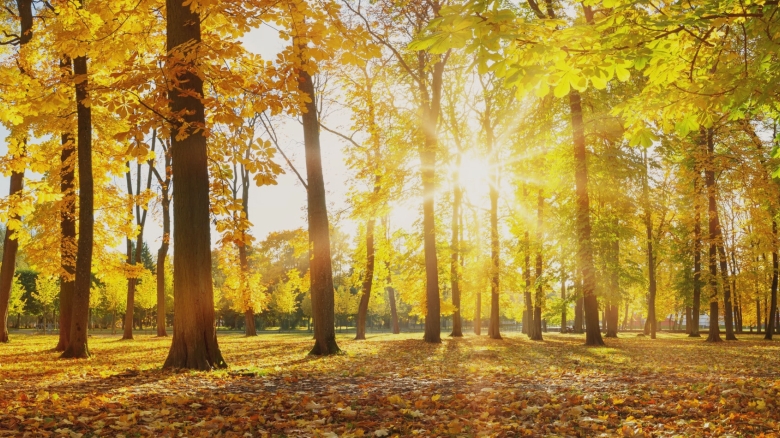 cum va fi vremea in septembrie meteorologii anunta temperaturi peste cele obisnuite in prima parte a lunii 68b14a3468891