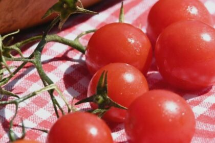 de ce ar trebui sa mananci rosii in fiecare zi beneficii despre care sigur nu stiai 68a73ac98f88e