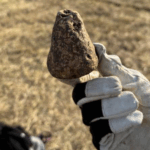 descoperire arheologica de exceptie la iasi artefacte ale culturii cucuteni vechi de peste 6 000 de ani scoase la lumina de profesorii si studentii facultatii de istorie din cadrul uaic 688d117e0e752