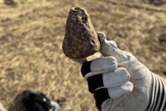 descoperire arheologica de exceptie la iasi artefacte ale culturii cucuteni vechi de peste 6 000 de ani scoase la lumina de profesorii si studentii facultatii de istorie din cadrul uaic 688d117e0e752