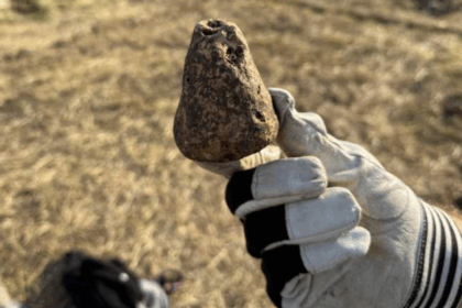 descoperire arheologica de exceptie la iasi artefacte ale culturii cucuteni vechi de peste 6 000 de ani scoase la lumina de profesorii si studentii facultatii de istorie din cadrul uaic 688d117e0e752