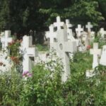 descoperire socanta intr un cimitir din judetul giurgiu un barbat a fost gasit impuscat 68a5f88f2018f