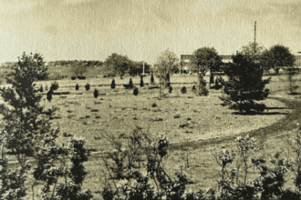 dezvaluiri uimitoare despre gradina botanica din iasi cum arata locul in anii 60 si ce plante au supravietuit pana acum 68905073a6800