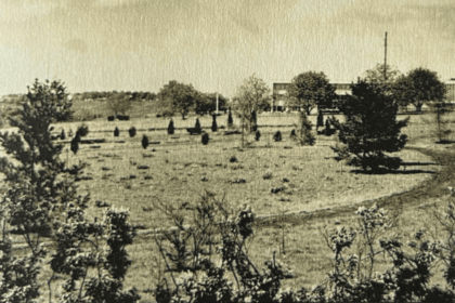 dezvaluiri uimitoare despre gradina botanica din iasi cum arata locul in anii 60 si ce plante au supravietuit pana acum 68905073a6800