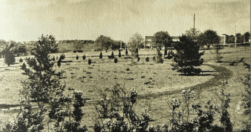 dezvaluiri uimitoare despre gradina botanica din iasi cum arata locul in anii 60 si ce plante au supravietuit pana acum 68905073a6800