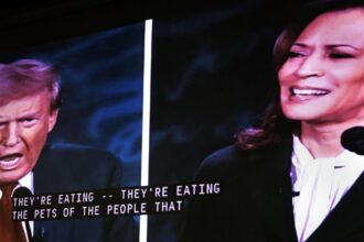 donald trump a lasat o pe kamala harris fara protectia serviciului secret ce motiv a invocat liderul de la casa alba 68b1b82e6c6e5