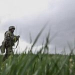 europenii vor crearea unei zone tampon de 40 de kilometri in ucraina planul include si trimiterea de trupe nato pe teritoriul tarii vecine 68b28c1f4d649