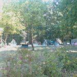 fosta tabara de la ciric ajunge la primaria iasi guvernul va aproba transferul cel tarziu in toamna miscarea se discuta de zece ani 689bec26b2a7b