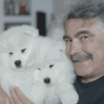 fostul primar al iasului ionel onofras a fost condamnat la 19 ani si 4 luni de inchisoare pentru viol si agresiune sexuala 68a2ef6933245 2