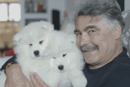 fostul primar al iasului ionel onofras a fost condamnat la 19 ani si 4 luni de inchisoare pentru viol si agresiune sexuala 68a2ef6933245 2