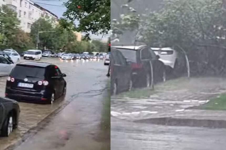 foto video strazi inundate si copaci doborati de vant dupa potopul care a lovit vestul iasului 6893633b45991