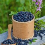 fructele care imbunatatesc vederea cat de des trebuie sa le consumi 68b1898b11993