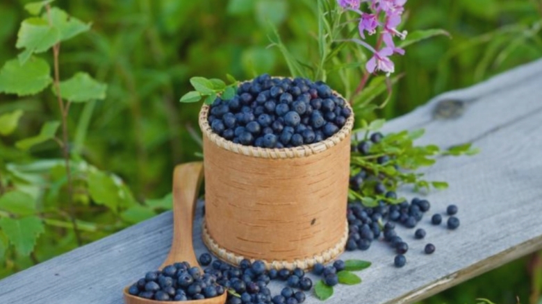 fructele care imbunatatesc vederea cat de des trebuie sa le consumi 68b1898b11993