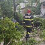 furtuna a provocat haos in capitala dar si in tara persoane ranite si copaci cazuti peste carosabil si masini video 68a8aff12a370