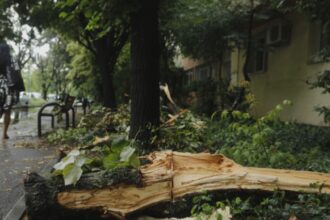 furtunile se muta in jumatatea de sud a tarii meteorolog o vreme schimbatoare si cu intervale de instabilitate 68a2be47c5e40