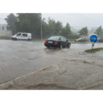 grindina arbori pusi la pamant masini avariate 68937d5af25cc