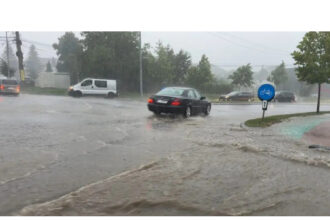 grindina arbori pusi la pamant masini avariate 68937d5af25cc