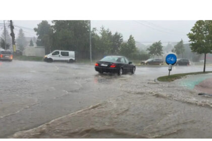 grindina arbori pusi la pamant masini avariate 68937d5af25cc