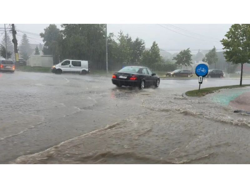 grindina arbori pusi la pamant masini avariate 68937d5af25cc