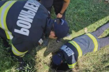 iasi pompierii au salvat un caine cazut intr un canal adanc de patru metri la bucium 68a5d45b81d2d