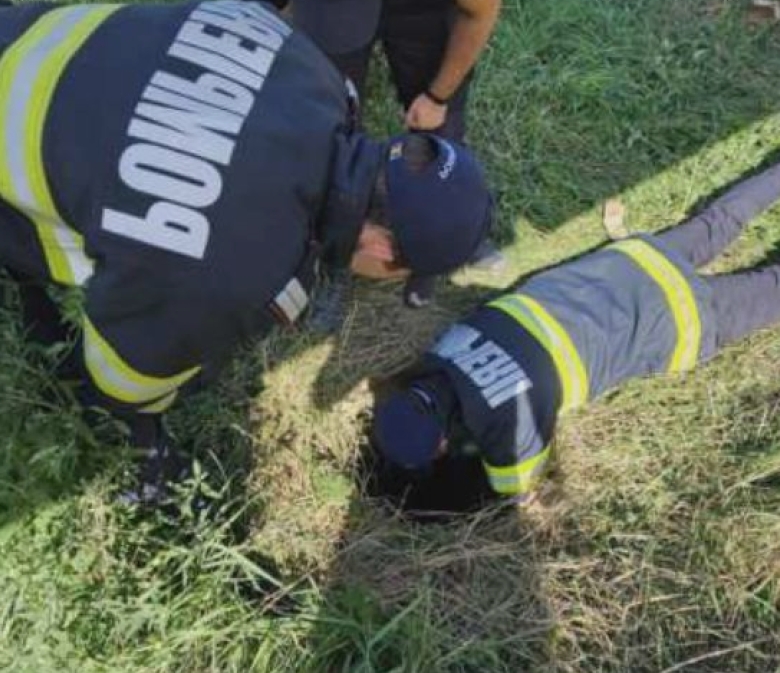 iasi pompierii au salvat un caine cazut intr un canal adanc de patru metri la bucium 68a5d45b81d2d