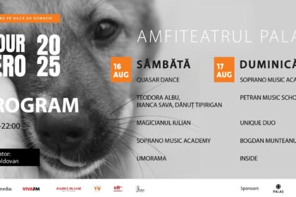 iasul gazduieste festivalul caritabil be our hero pentru salvarea animalelor fara stapan 689e7ba6bd158