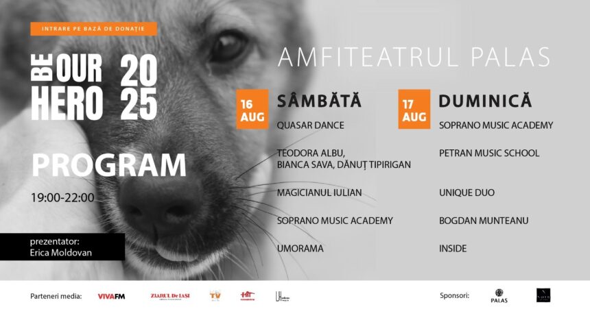 iasul gazduieste festivalul caritabil be our hero pentru salvarea animalelor fara stapan 689e7ba6bd158