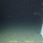 implozia submersibilului titan in care au murit 5 oameni putea fi prevenita concluziile autoritatilor sua 68922c1227551