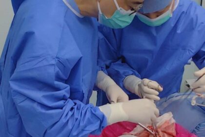 in premiera transplant de plaman de porc la om in china organul a functionat timp de noua zile 68aeaf5e9bd5a