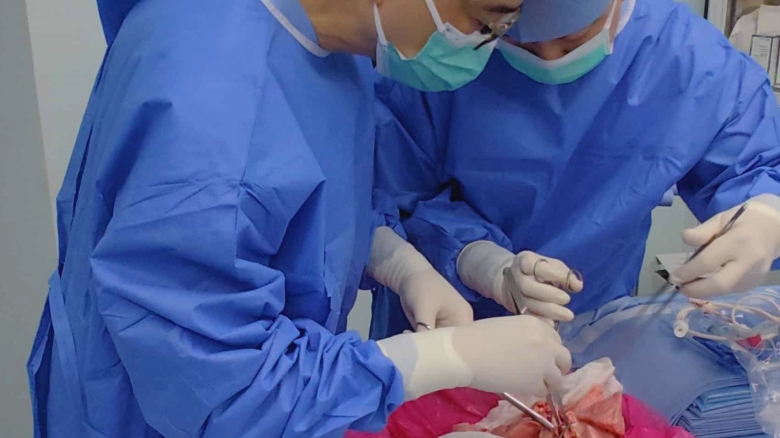 in premiera transplant de plaman de porc la om in china organul a functionat timp de noua zile 68aeaf5e9bd5a