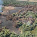 incendiu de proportii in delta dunarii circa 50 de hectare de vegetatie si padure au fost mistuite de flacari 68a4a47a03c3a