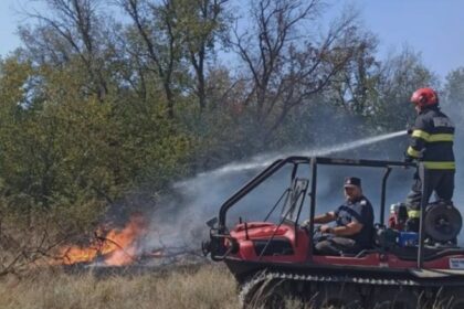 incendiu de vegetatie uscata in braila flacarile se manifesta pe linia de tramvai din apropierea statiunii lacu sarat 68af0411858fe