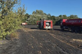 incendiu devastator intr un sat de langa bucuresti ard sapte hectare de vegetatie o casa a fost cuprinsa de flacari nu sunt victime foto video 68ab2a7af0e6f