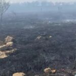 incendiu urias de vegetatie la periferia craiovei autoritatile au emis un mesaj ro alert video 68ab133dc78d6