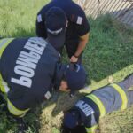 interventie de suflet un catel a fost scos dintr un canal adanc de 4 metri 68a5a312db117